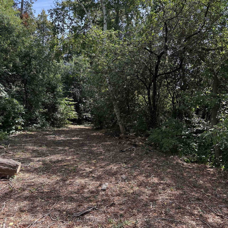 1835 Pine Grove Ave, Pickering, L1V 1K7 | Image 3