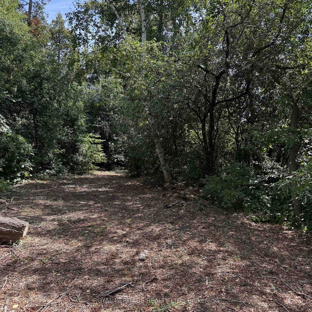 1835 Pine Grove Avenue