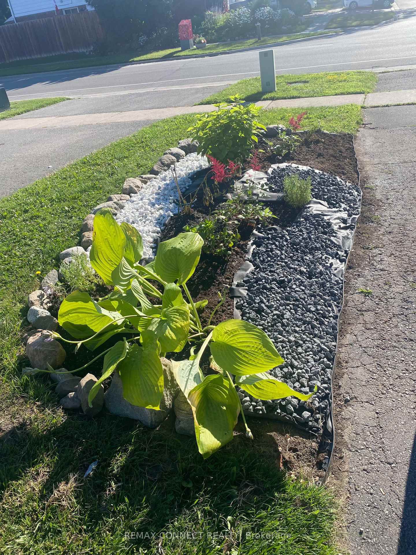 594 Waverly Street N - Photo 6