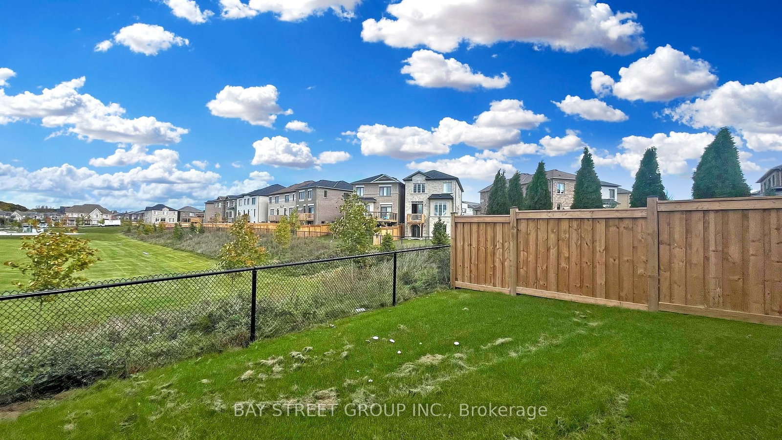 110 Christine Elliott Avenue - Photo 44