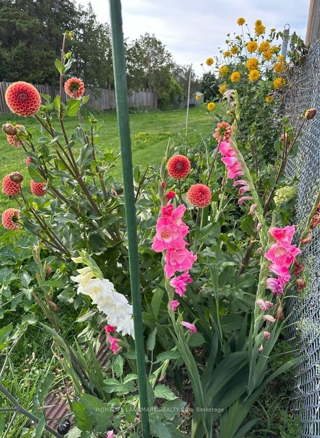 6 Stonebridge Boulevard, Unit Bsmt - Photo 17