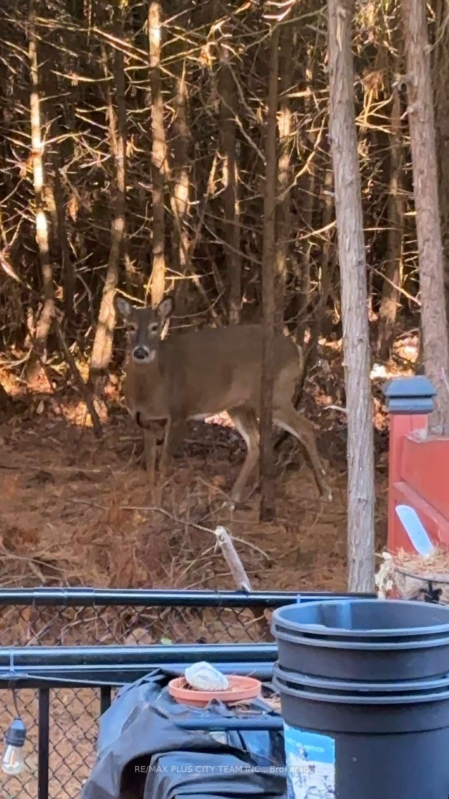 16 Edison Way - Photo 46