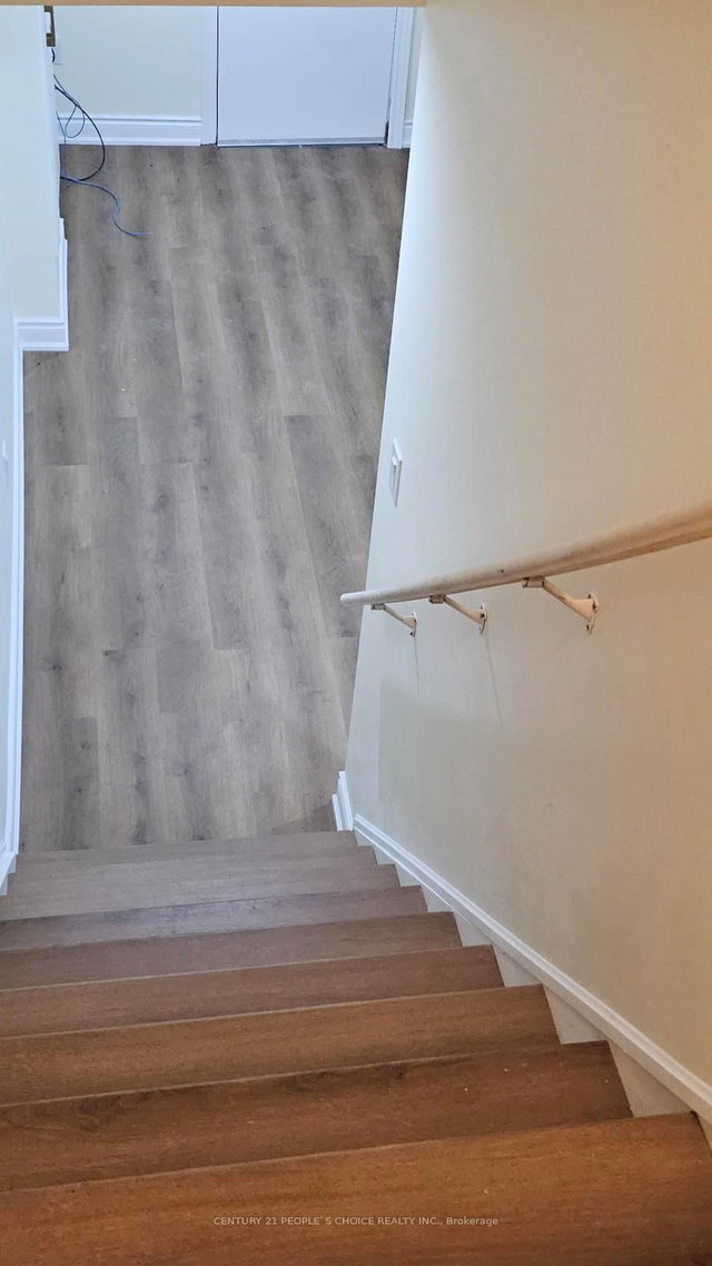 Basement - 9 Vickery Street E