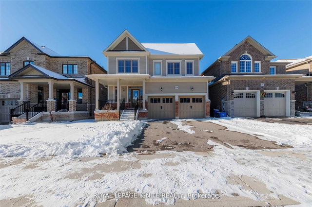 Bsmt - 234 Crombie Street