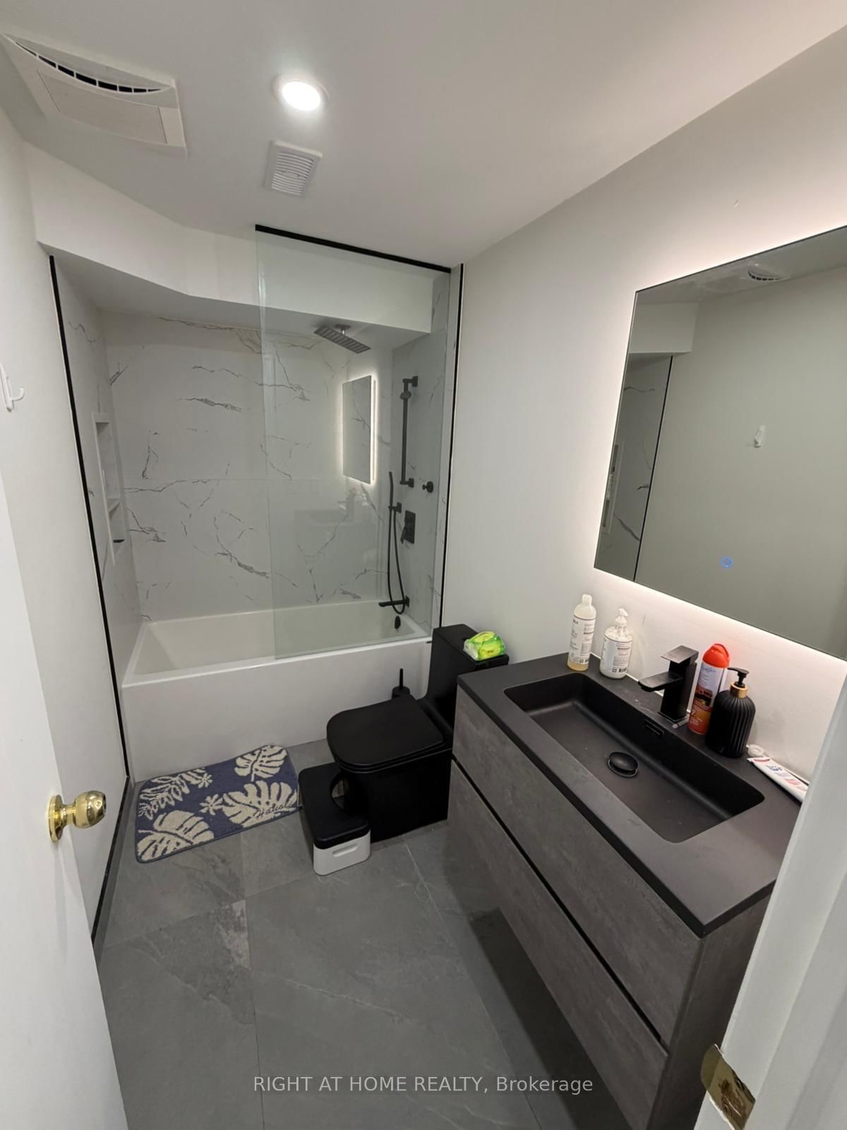Lower-18 Wroxeter Avenue, Toronto, ON, photo 5