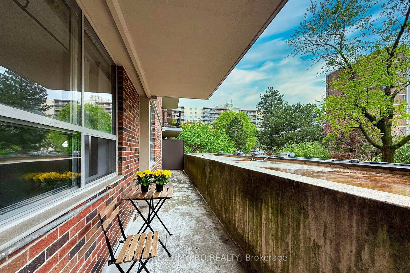 1950 Kennedy Road, Unit 207 - Photo 29