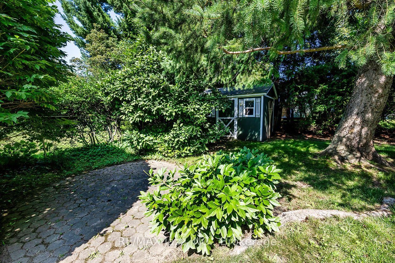 233 Wellington Street • Whitby, ON photo 5
