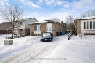 10 Crow Trail