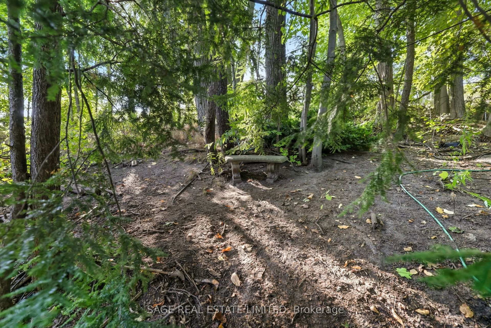 130 Neville Park Boulevard - Photo 35