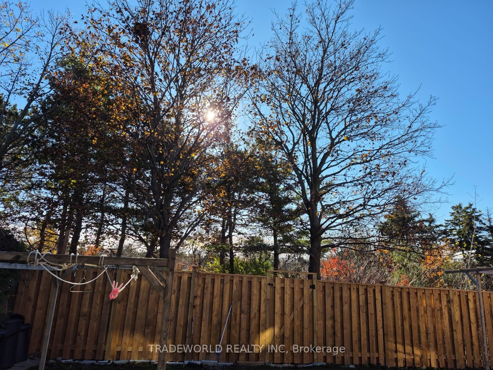54 Calverley Trail - Photo 13