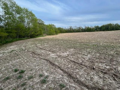Land for sale at 2299 Baseline Road, Clarington, Ontario, L1C 6G4 - Rural Clarington - MLS: E13163088