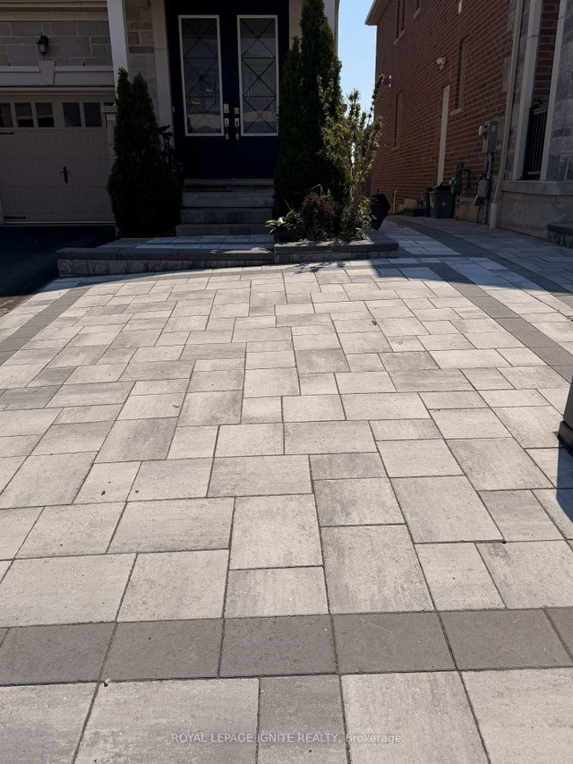 Bsmt - 2625A Cerise Manor