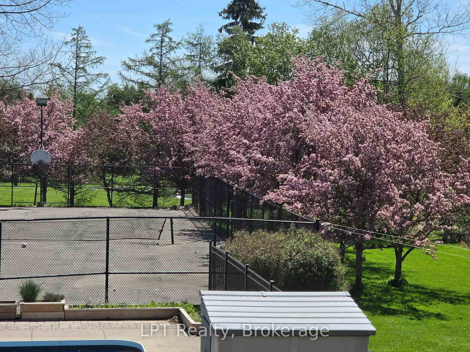 16 Cawkers Cove Road • Scugog, ON photo 13
