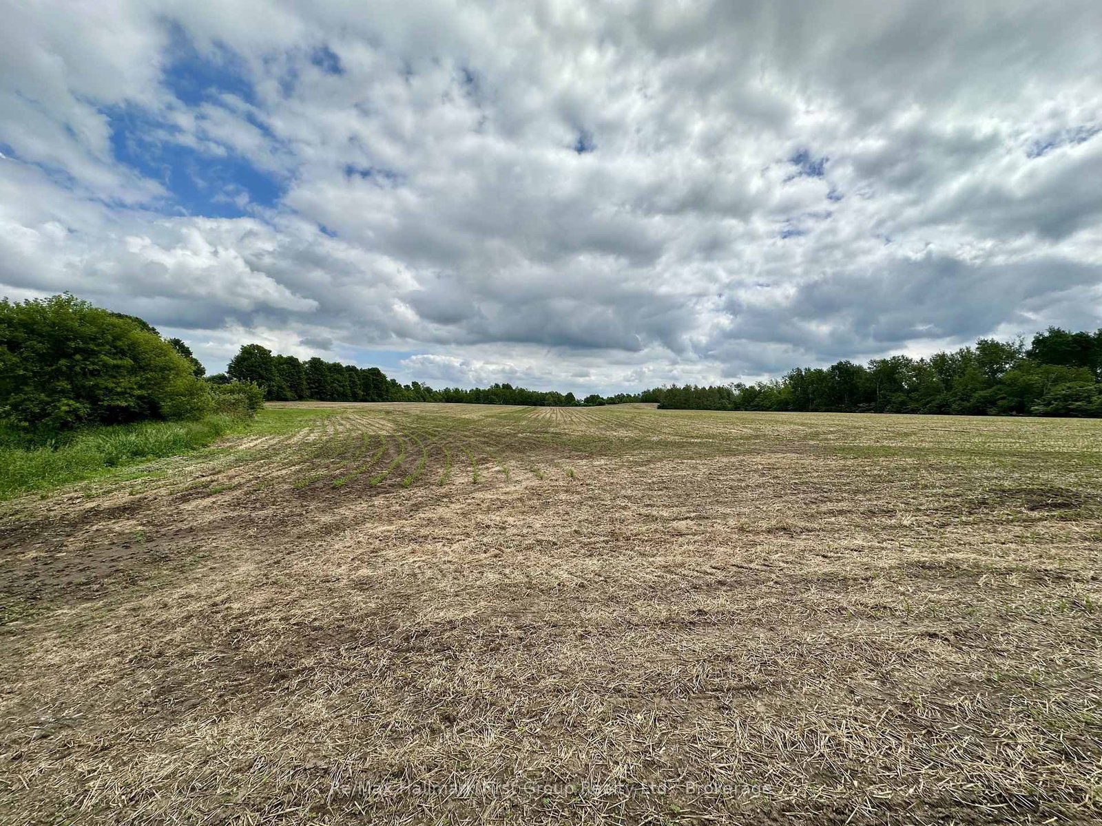 430 Scugog 6 Line • Scugog, ON photo 3