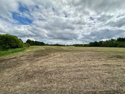 430 Scugog 6 Line • Scugog, ON photo 3