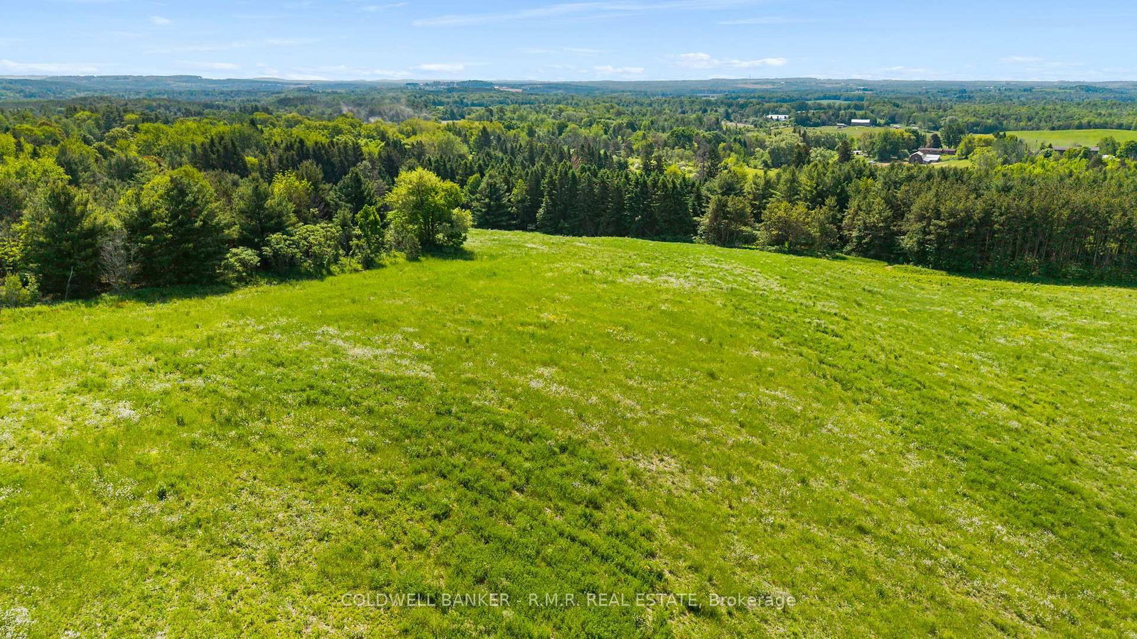8754 Langstaff Road • Clarington, ON photo 47