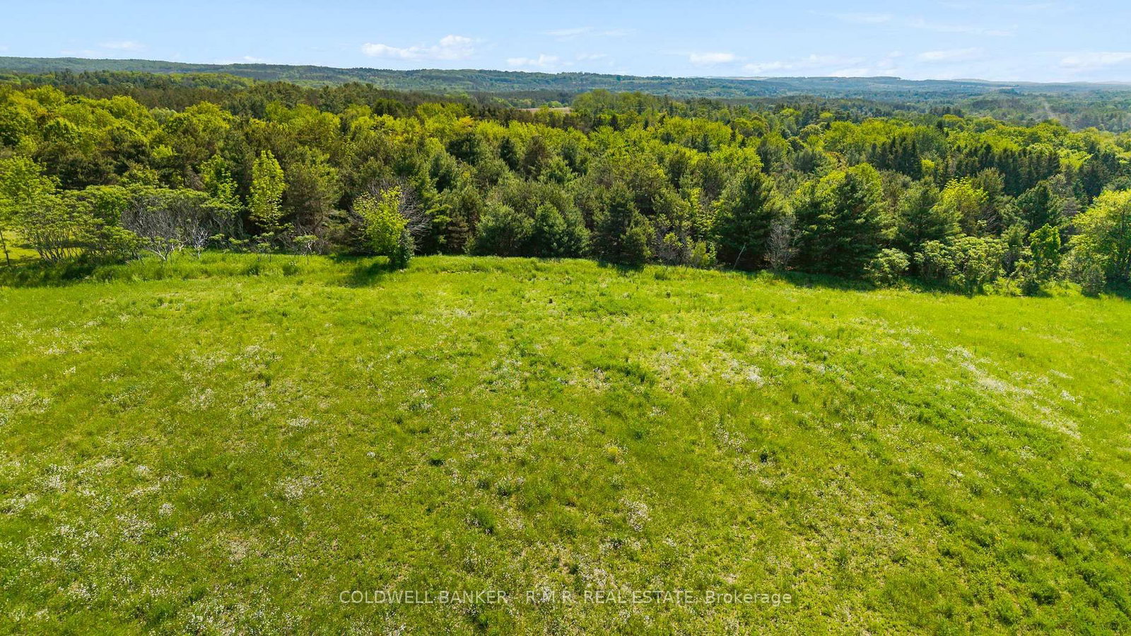 8754 Langstaff Road • Clarington, ON photo 48