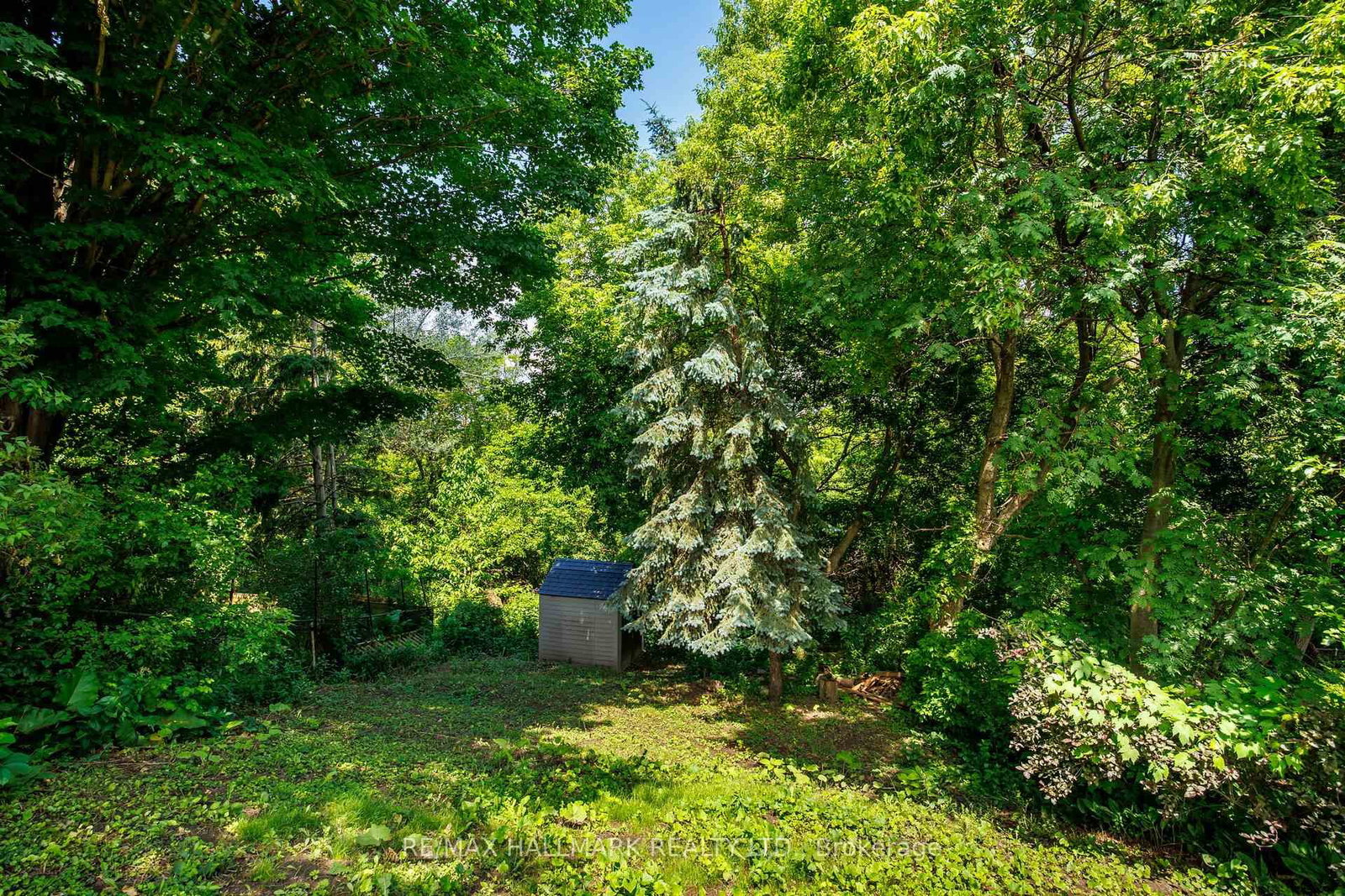 8 Davies Crescent • Toronto, ON photo 35