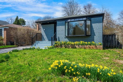 203 Toynbee Trail — photo 4
