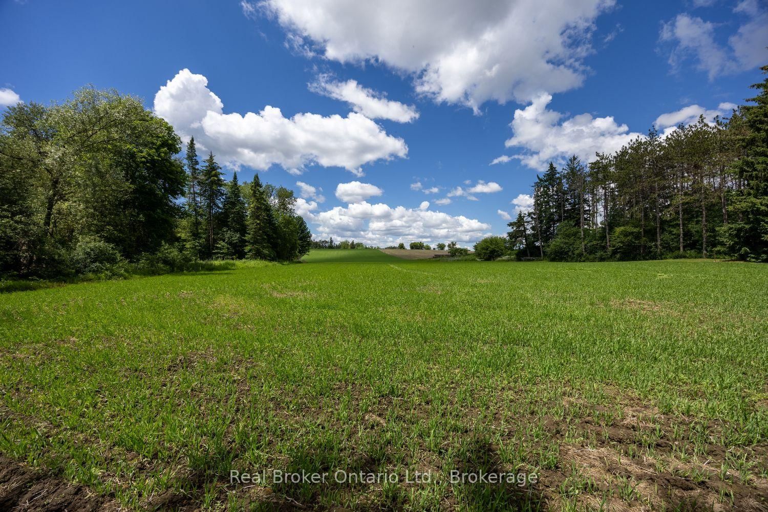 4206 Middle Road • Clarington, ON photo 10