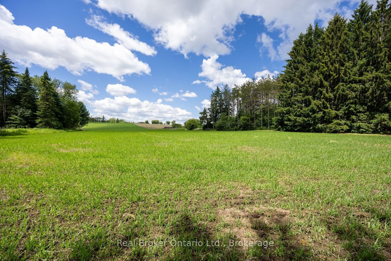 4206 Middle Road • Clarington, ON photo 11
