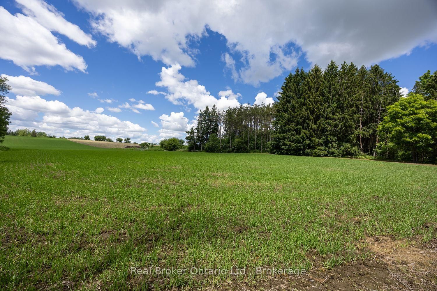 4206 Middle Road • Clarington, ON photo 12