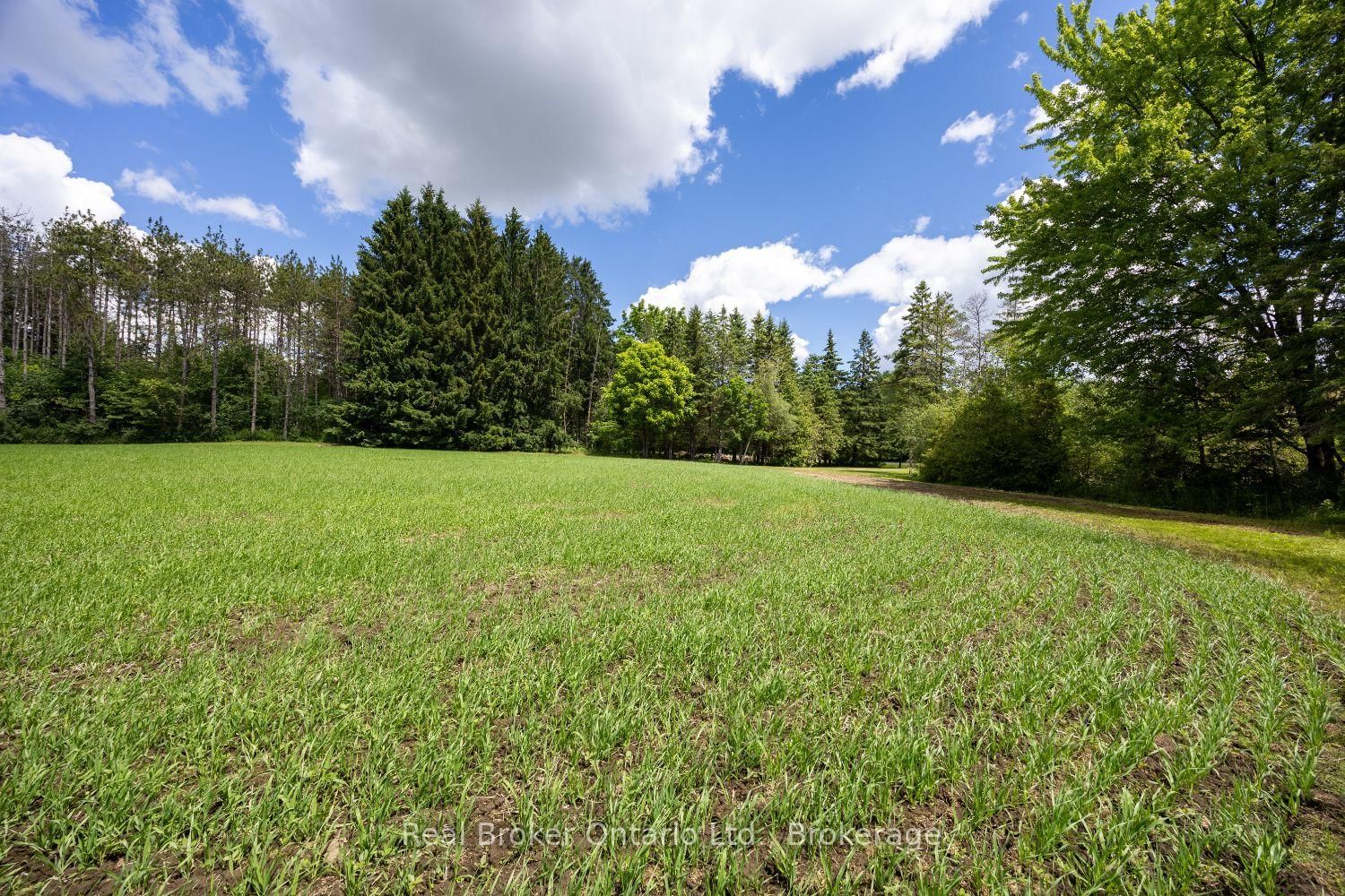 4206 Middle Road • Clarington, ON photo 13