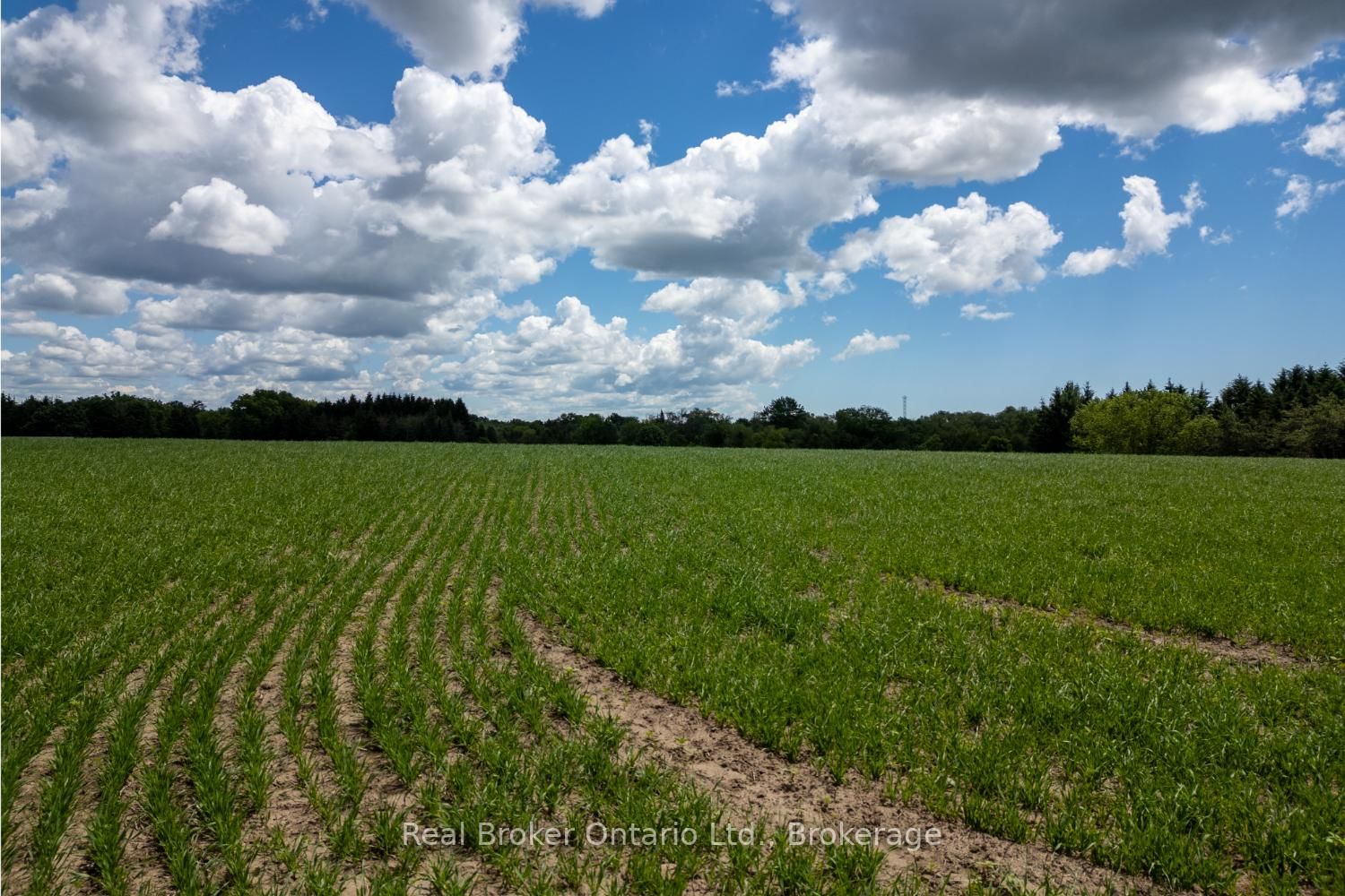 4206 Middle Road • Clarington, ON photo 16
