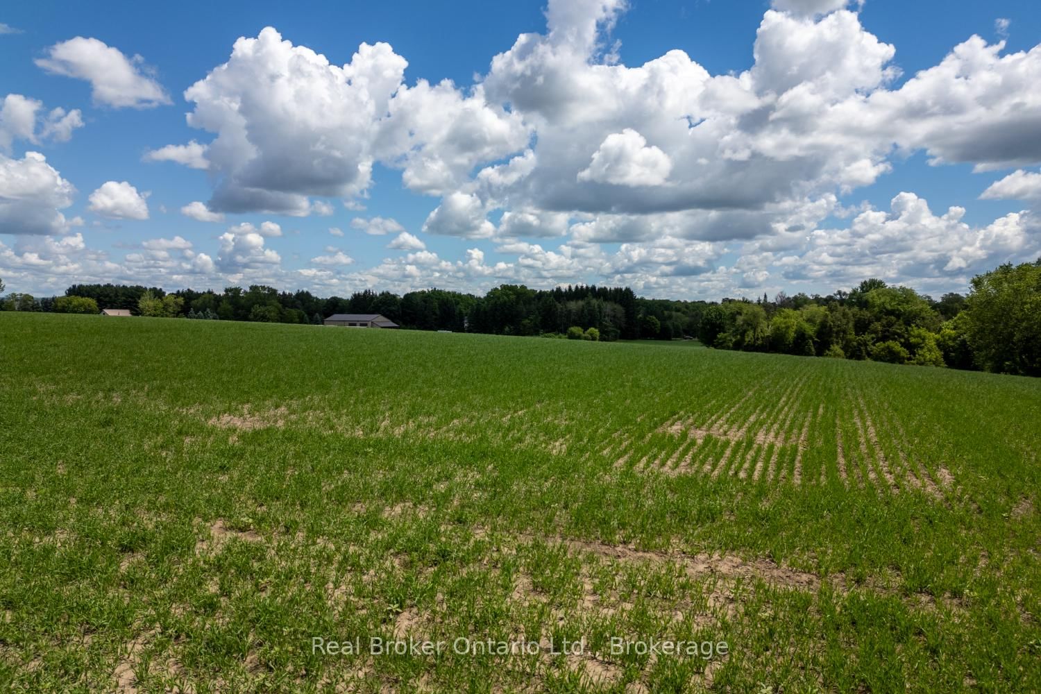 4206 Middle Road • Clarington, ON photo 17