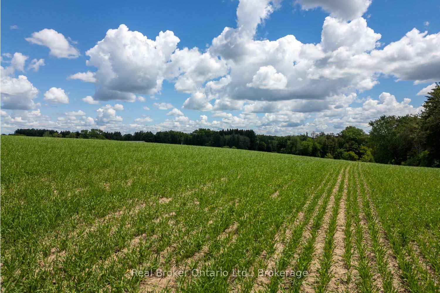 4206 Middle Road • Clarington, ON photo 18