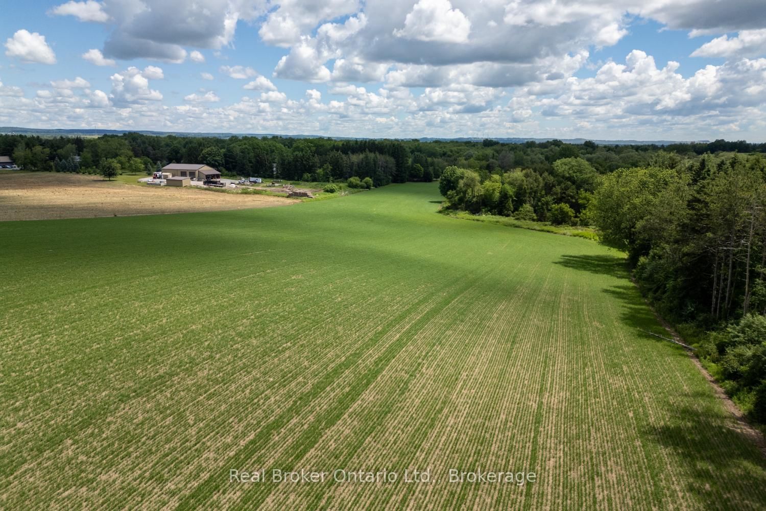 4206 Middle Road • Clarington, ON photo 19