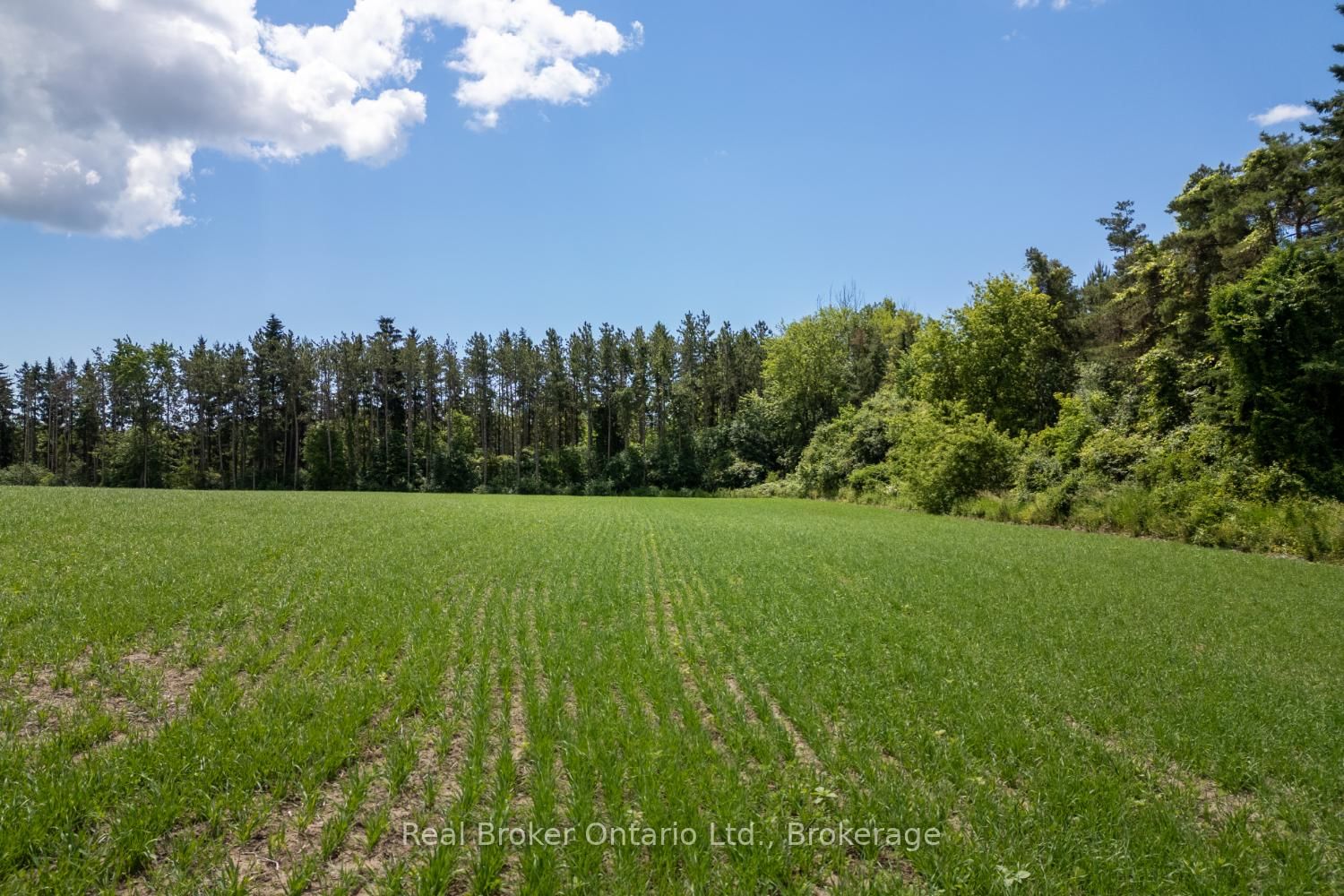 4206 Middle Road • Clarington, ON photo 2