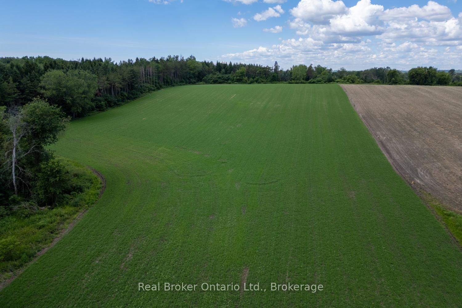 4206 Middle Road • Clarington, ON photo 21