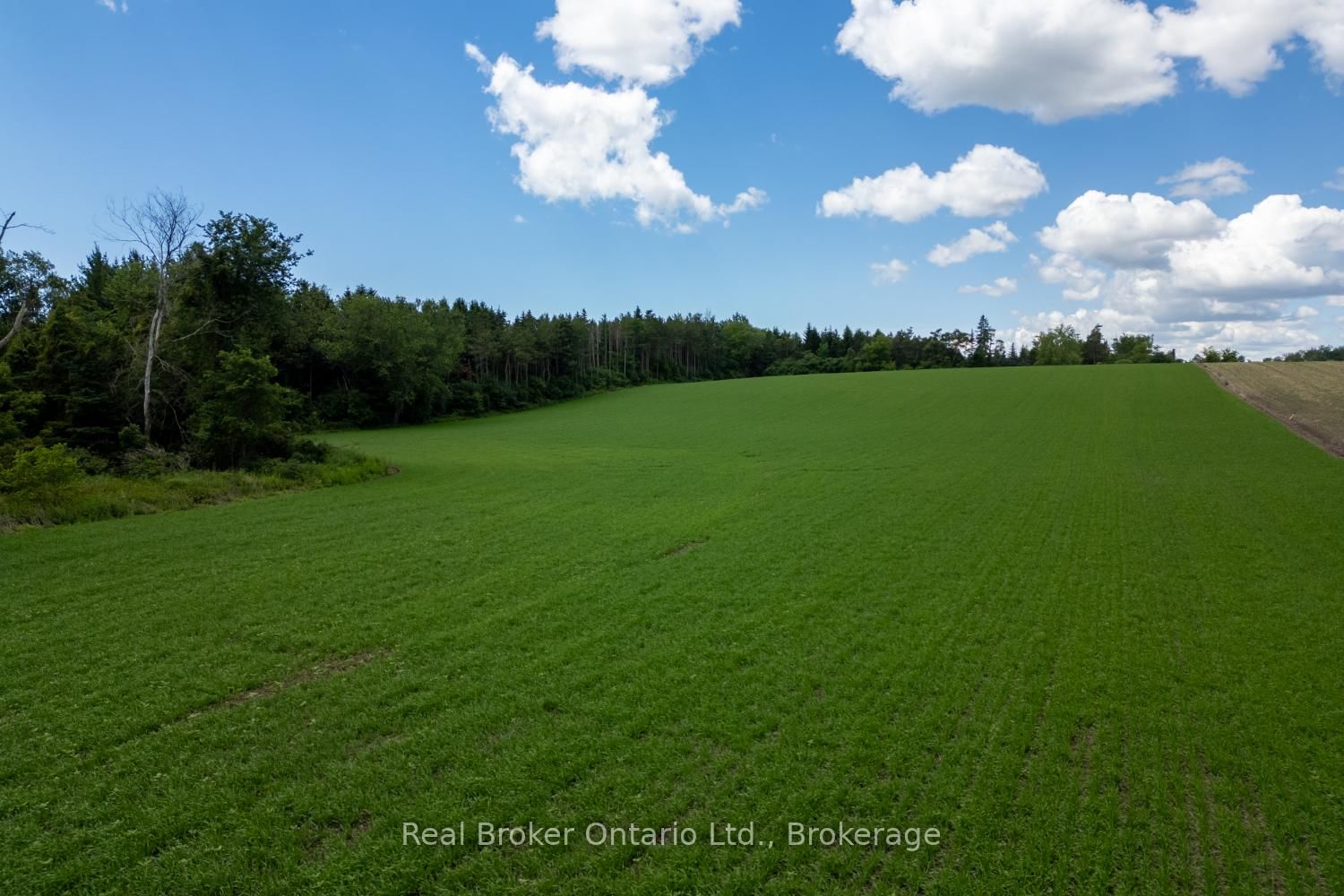 4206 Middle Road • Clarington, ON photo 23