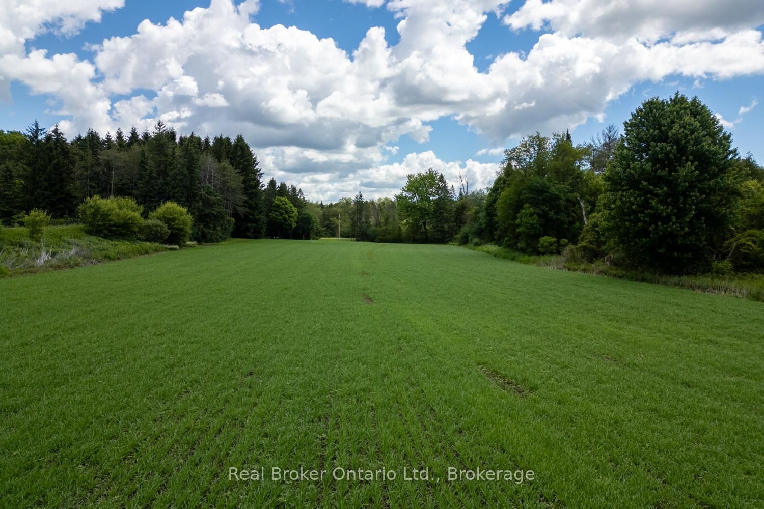 4206 Middle Road • Clarington, ON photo 24