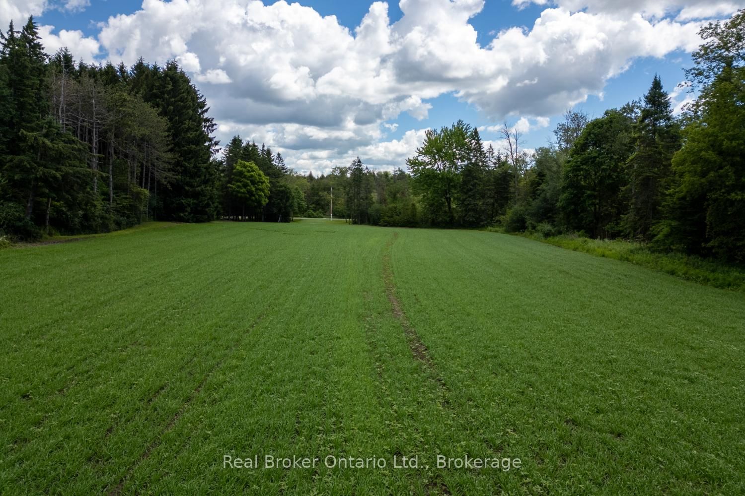 4206 Middle Road • Clarington, ON photo 25
