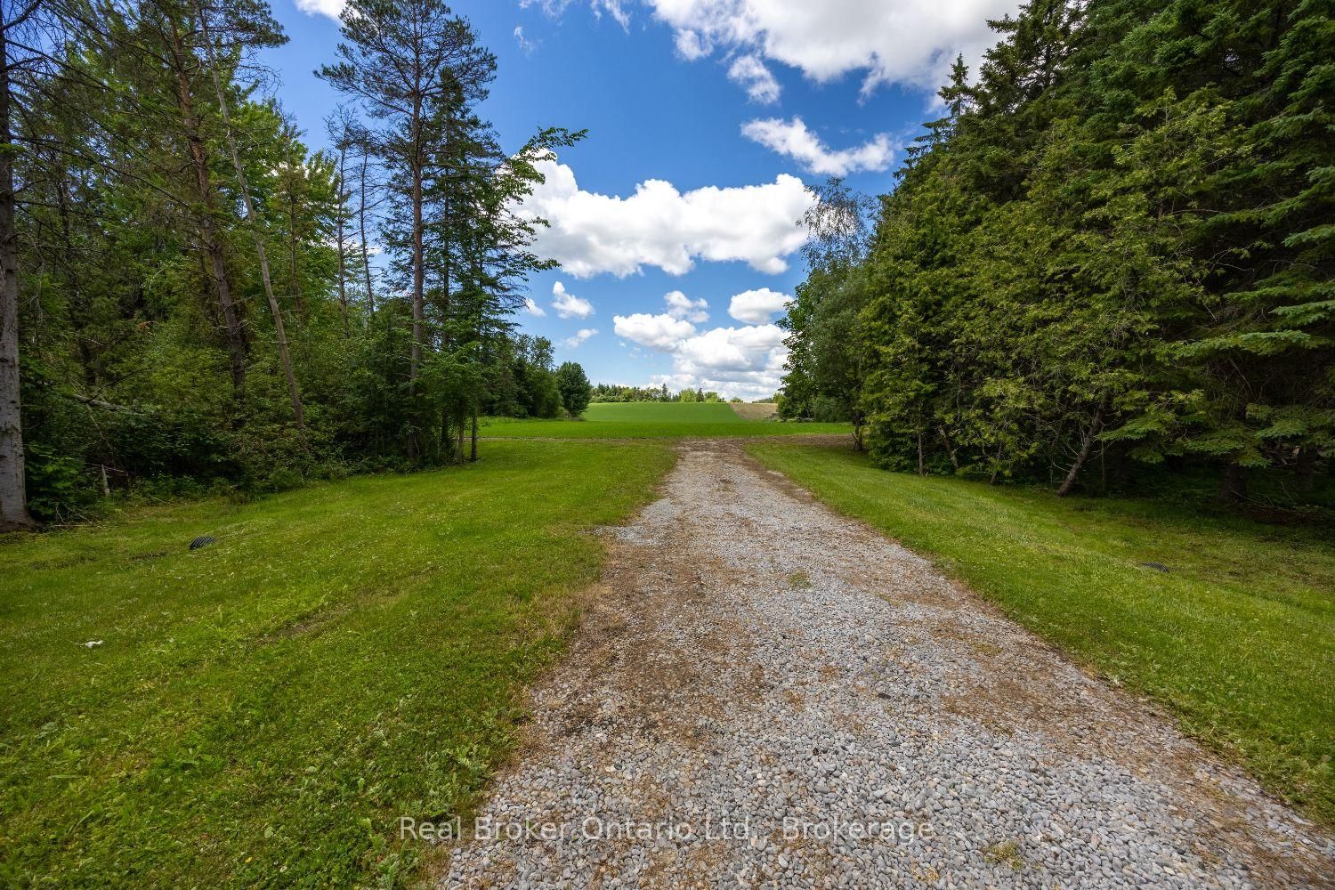 4206 Middle Road • Clarington, ON photo 5