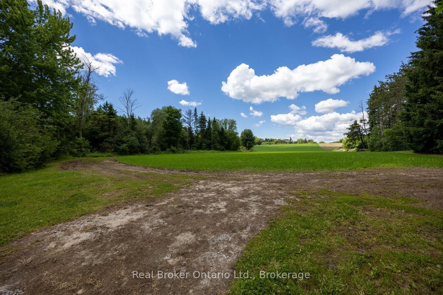 4206 Middle Road • Clarington, ON photo 6