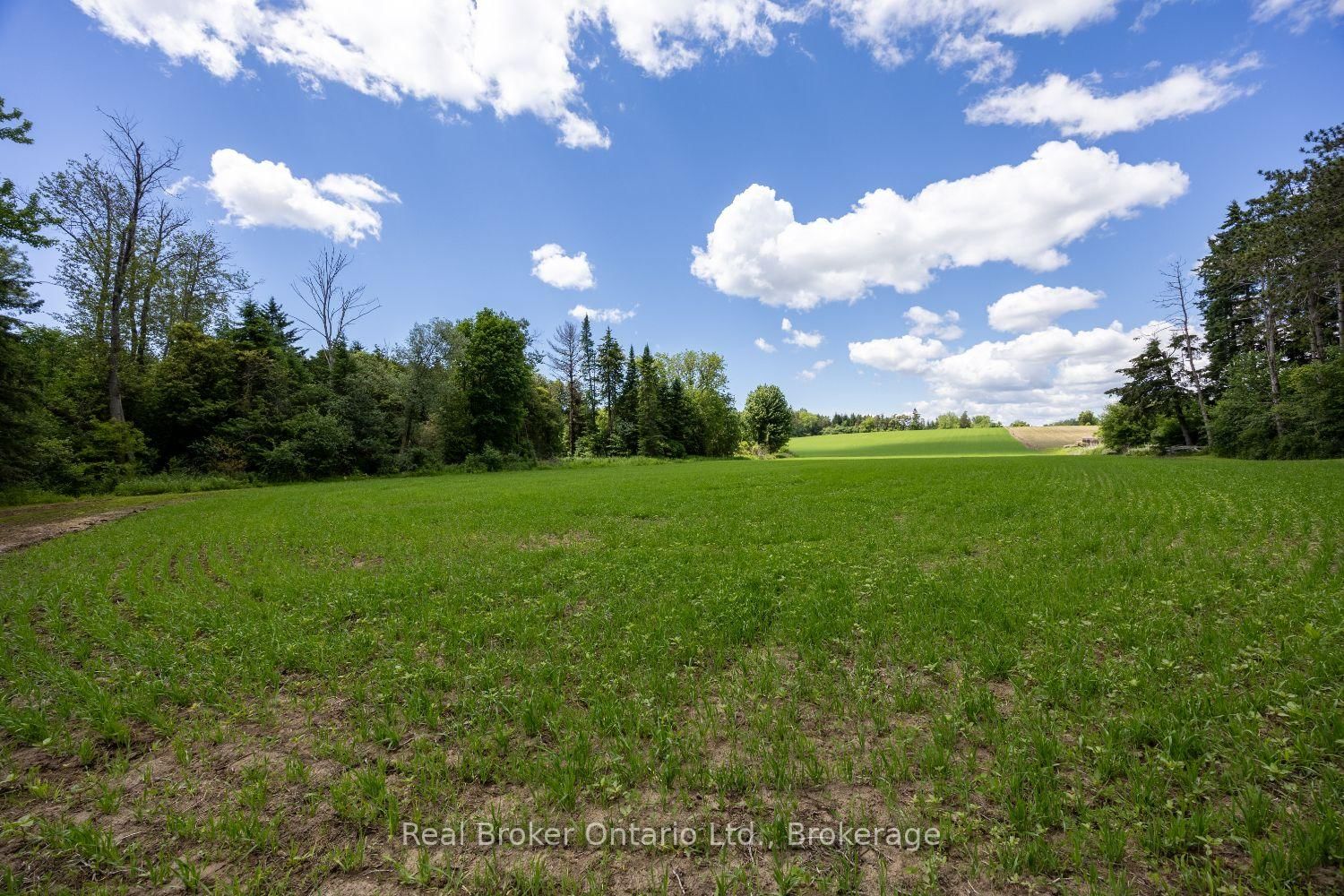 4206 Middle Road • Clarington, ON photo 7