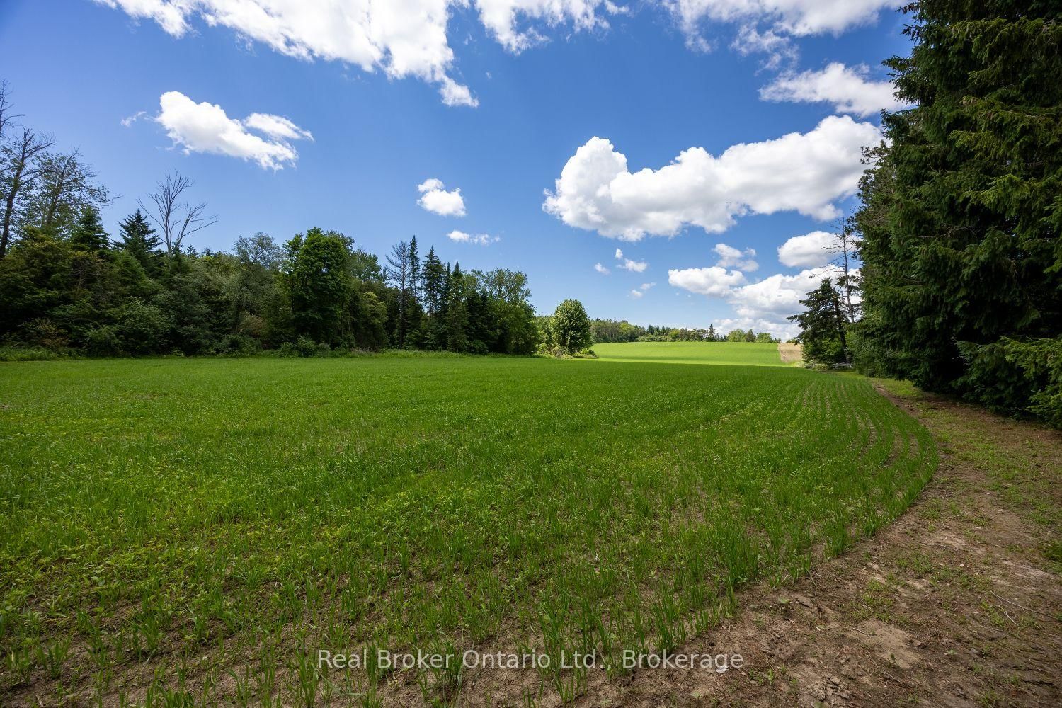 4206 Middle Road • Clarington, ON photo 8