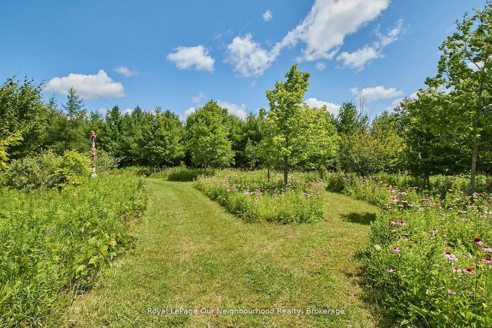 3088 Concession 7 Road • Clarington, ON photo 16