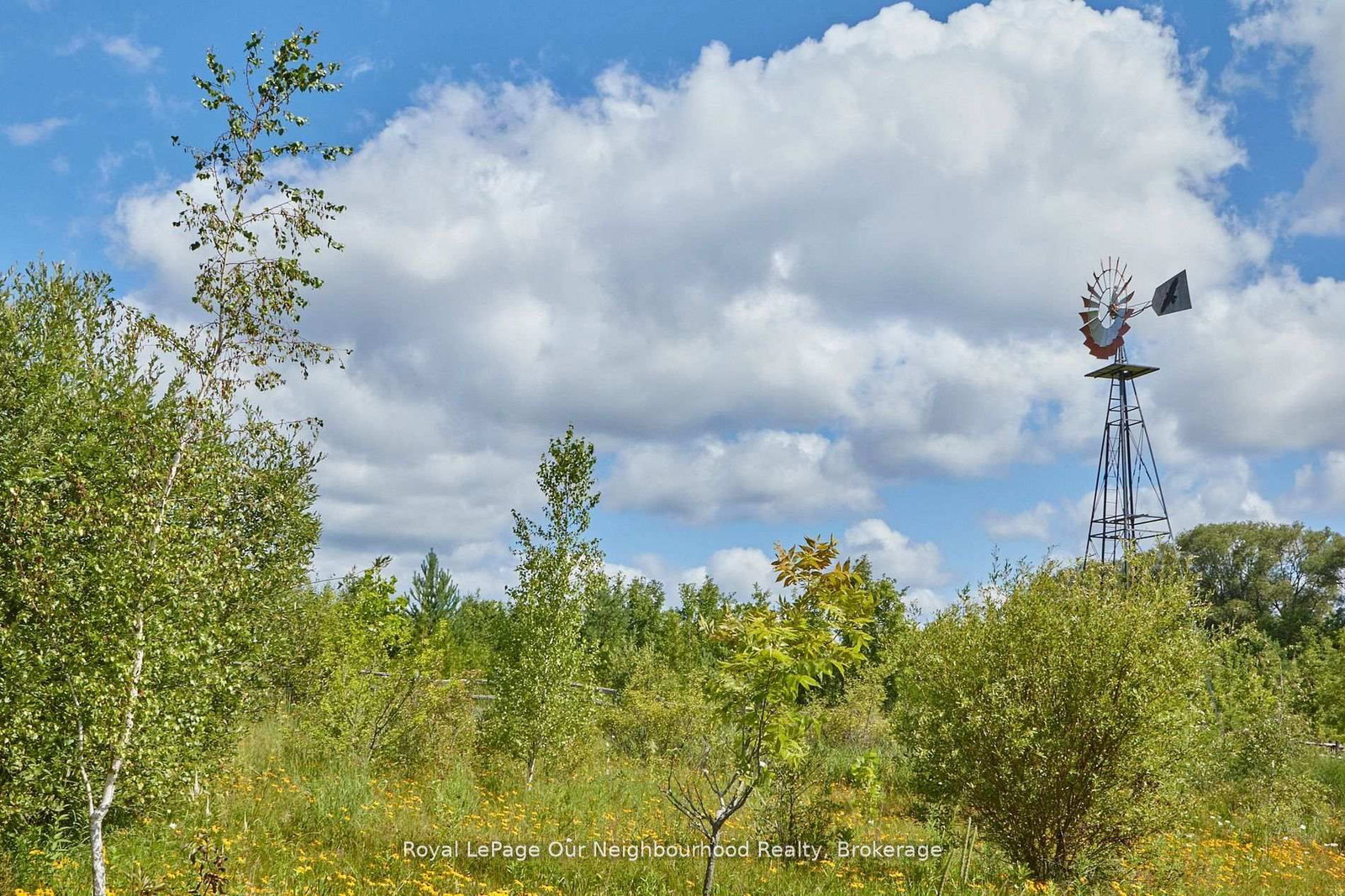 3088 Concession 7 Road • Clarington, ON photo 30