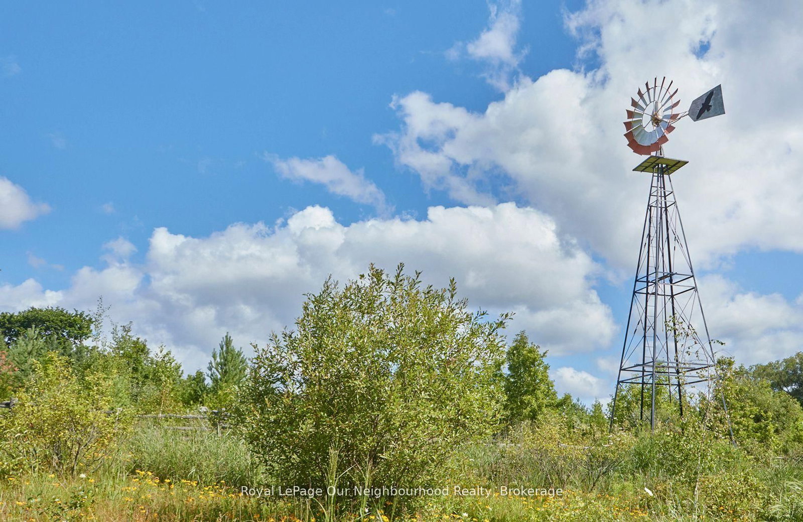 3088 Concession 7 Road • Clarington, ON photo 31
