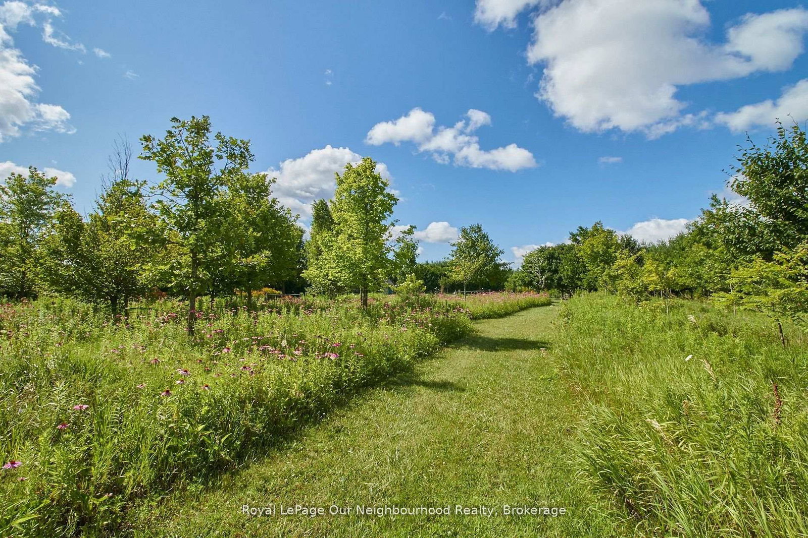 3088 Concession 7 Road • Clarington, ON photo 34