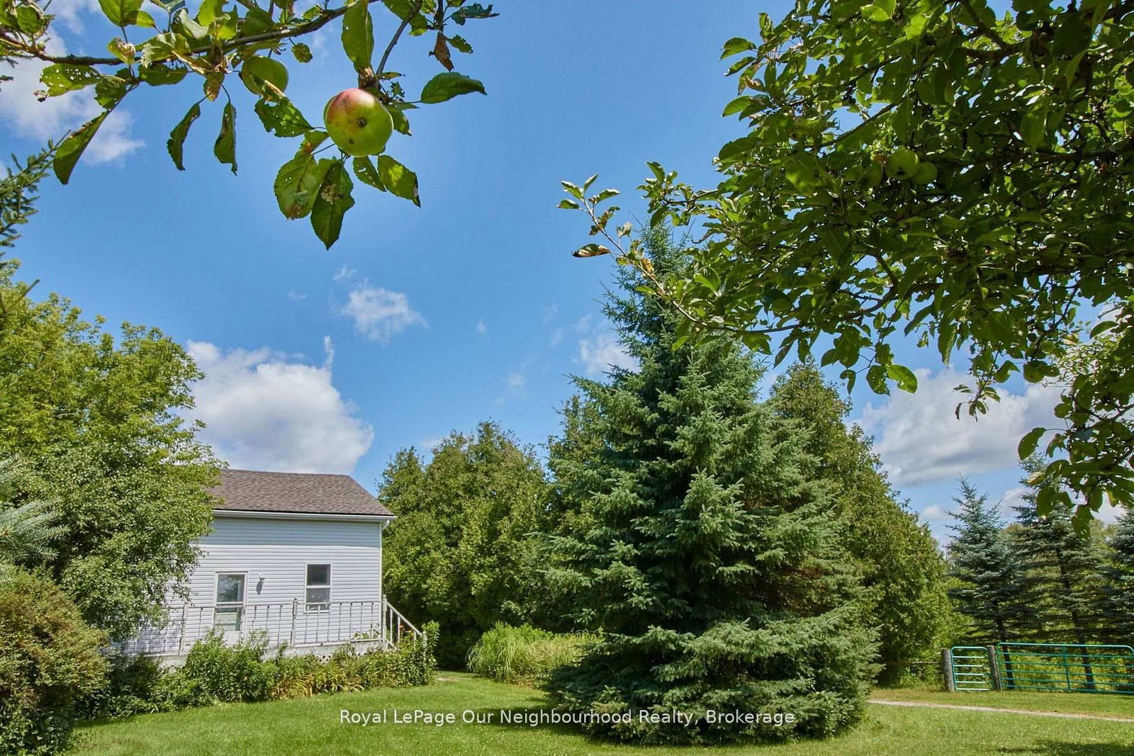 3088 Concession 7 Road • Clarington, ON photo 49