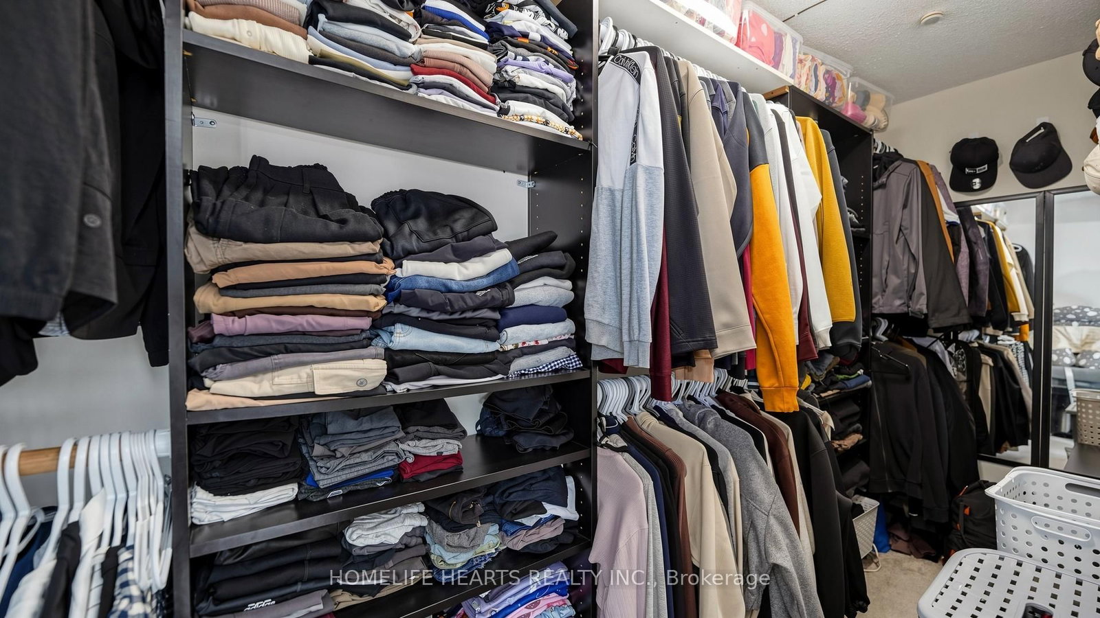 242 Braymore Boulevard • Toronto, ON photo 35