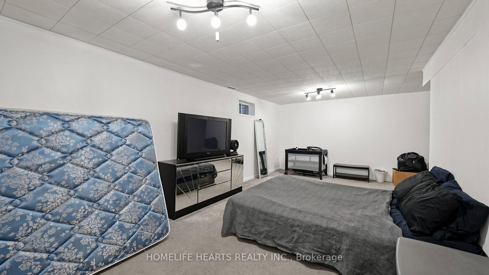 242 Braymore Boulevard • Toronto, ON photo 43
