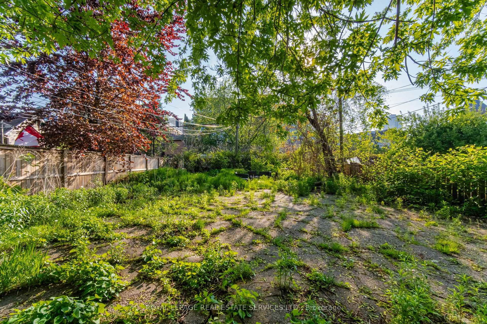 76-78 Lewis Street • Toronto, ON photo 48