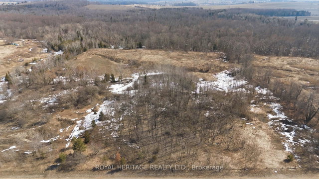 2495 Morgans Road