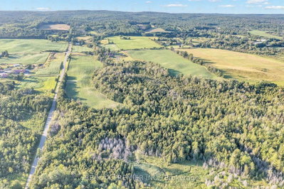 4615 Thertell Road • Clarington, ON photo 5